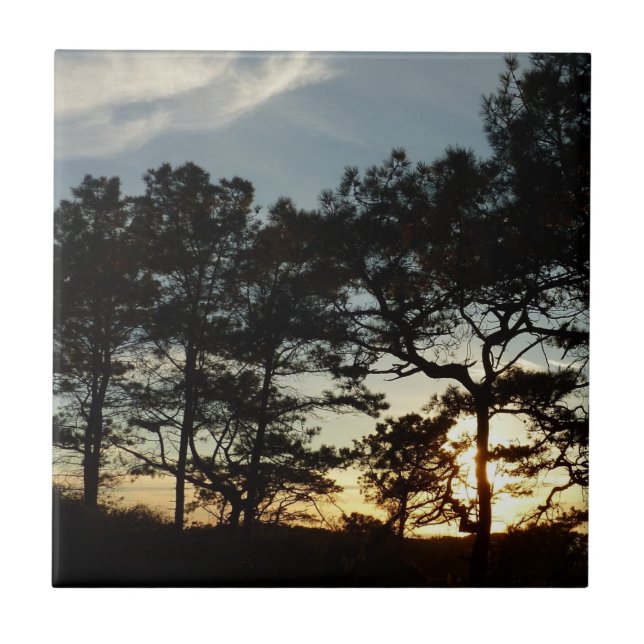 Torrey Gräs Sunset II California Ligcape Kakelplatta (Framsidan)