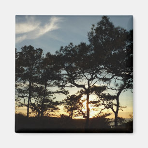 Torrey Gräs Sunset II California Ligcape Magnet