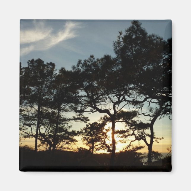 Torrey Gräs Sunset II California Ligcape Magnet (Framsidan)