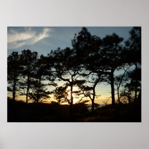Torrey Gräs Sunset II California Ligcape Poster