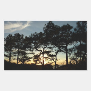 Torrey Gräs Sunset II California Ligcape Rektangulärt Klistermärke