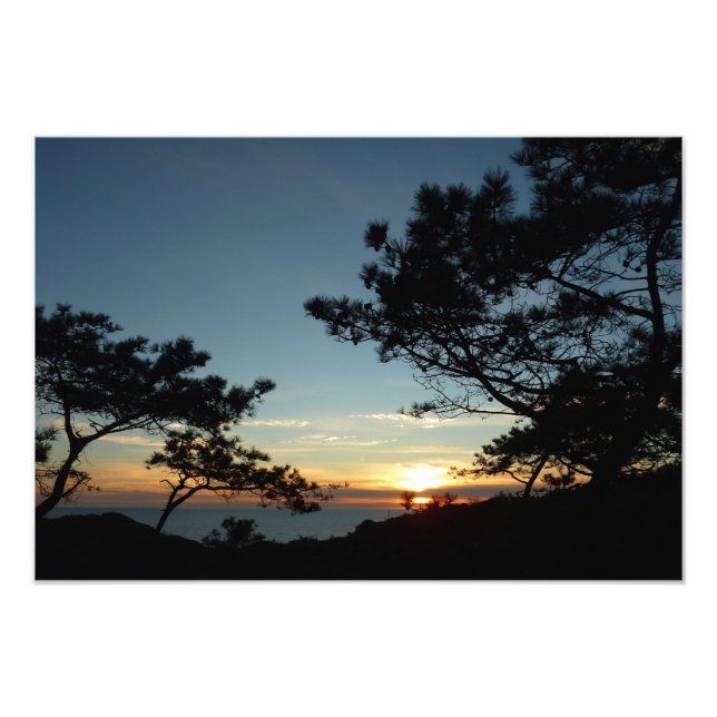 Torrey Gräs Sunset III California Ligcape Fototryck (Framsidan)
