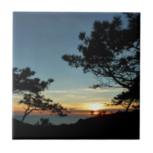 Torrey Gräs Sunset III California Ligcape Kakelplatta