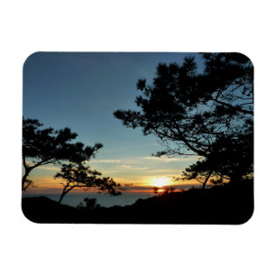 Torrey Gräs Sunset III California Ligcape Magnet