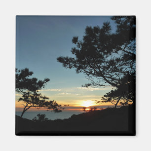 Torrey Gräs Sunset III California Ligcape Magnet