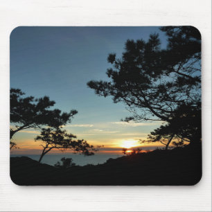 Torrey Gräs Sunset III California Ligcape Musmatta