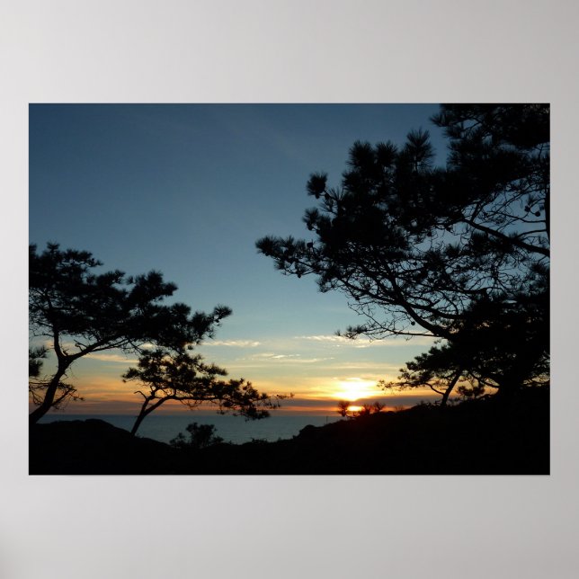 Torrey Gräs Sunset III California Ligcape Poster (Framsidan)