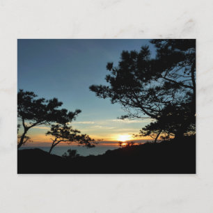 Torrey Gräs Sunset III California Ligcape Vykort