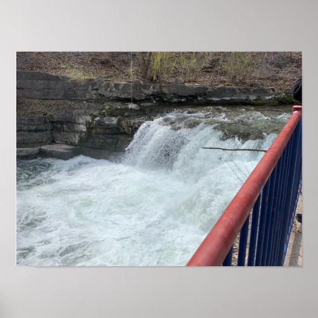 Torrey New York Finger Sjöar Poster (Framsidan)