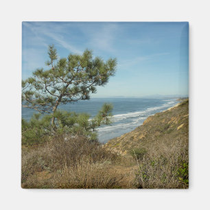 Torrey Pine och Kaliforniens kustlinje landskap Magnet