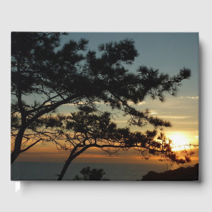 Torrey Pine Solnedgång I Kalifornien Landskap Gästböcker