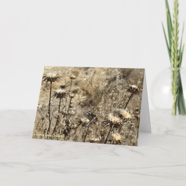 Torrgräs Kort (Framsida)