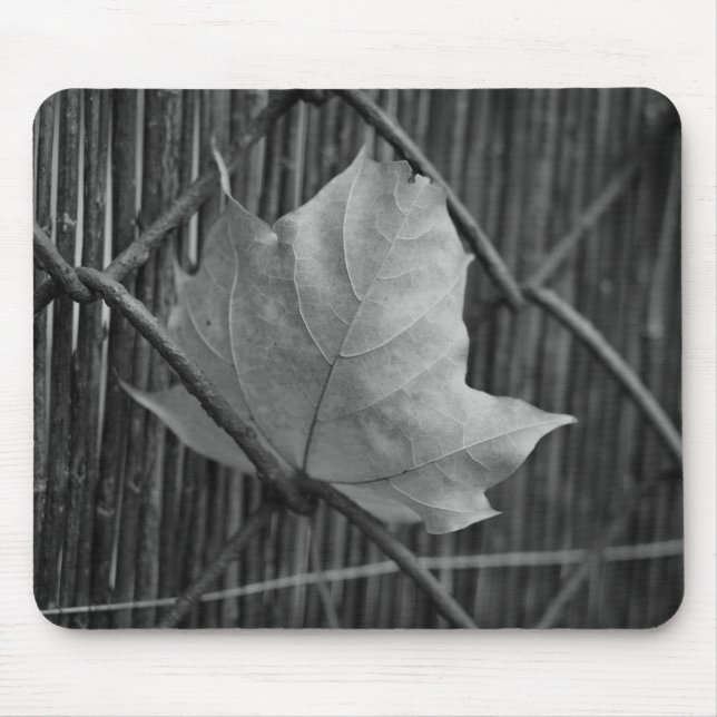 Torrmapeln Löv-Mousepad Musmatta (Framsidan)