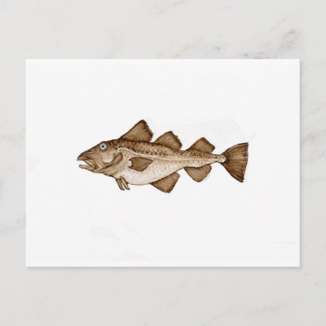 Torsk 1 brun286.jpg vykort (Framsida)