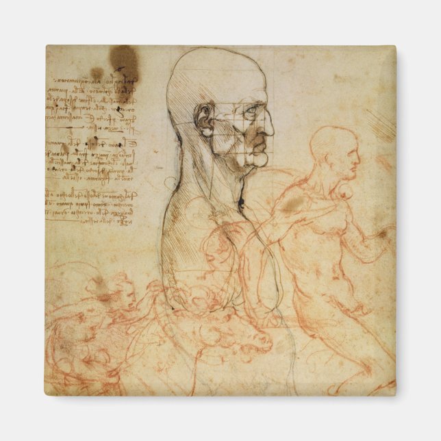 Torso av en man i profil, huvud fyrkant för Pr Magnet (Framsidan)