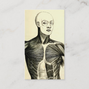 Torso för vintageanatomi (circa 1852) visitkort