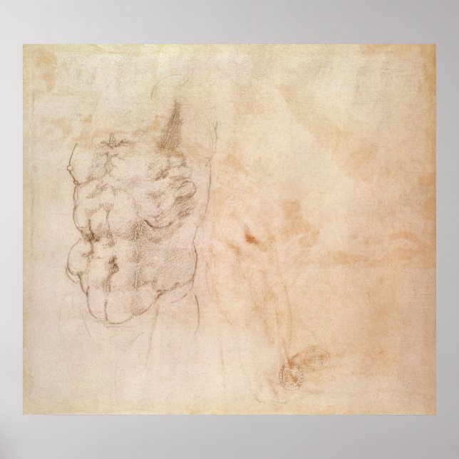 Torso Study Poster (Framsidan)