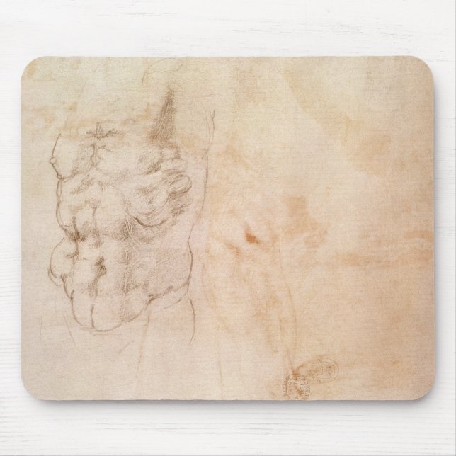 Torsostudie Musmatta (Framsidan)