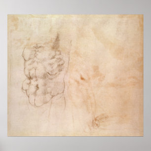 Torsostudie Poster