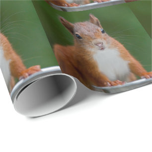 törstig ekorre Papper Presentpapper
