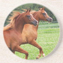 Törstig stenKustfartyg 1 BOGO Colts