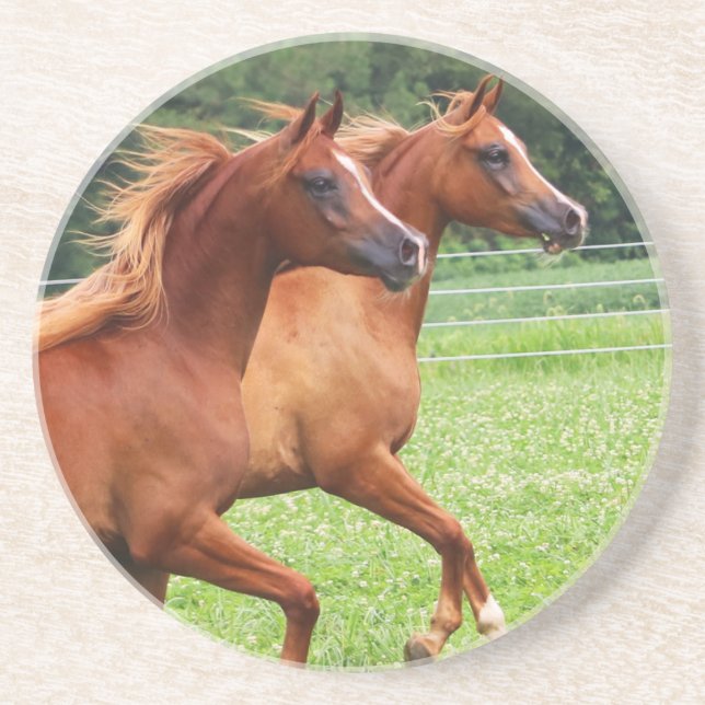 Törstig stenKustfartyg 1 BOGO Colts Underlägg Sandsten (Framsidan)