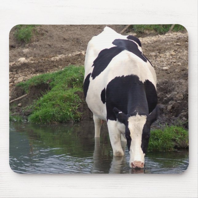 Törstigt Musmatta (Framsidan)