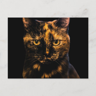 Tortie Cat Kärlek Design #2 Vykort