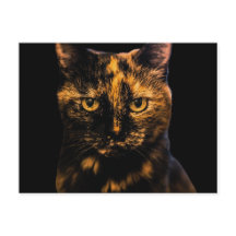 Tortie Cat Kärlek Design #2