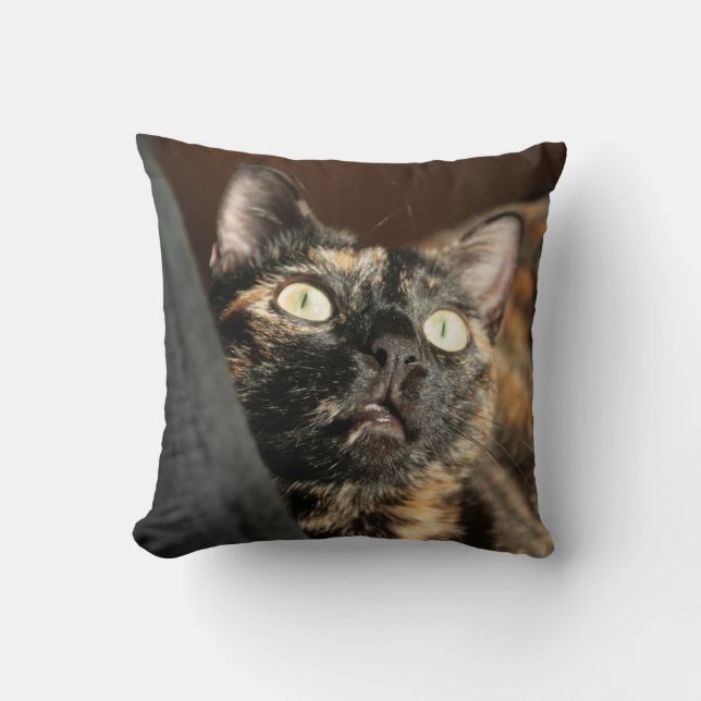 tortie cat pillow kudde (Framsida)
