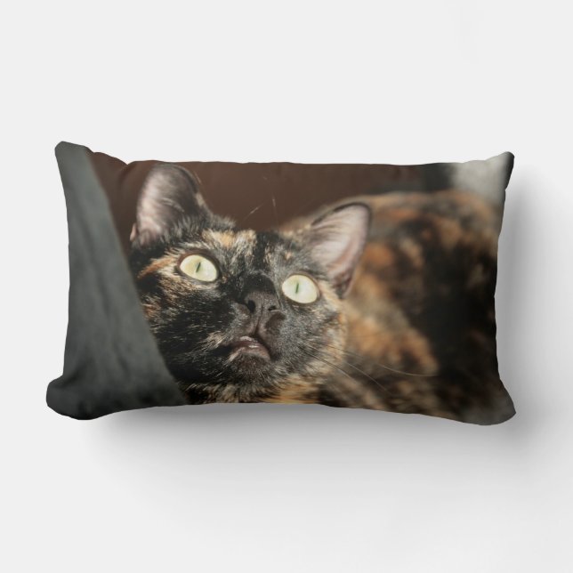 tortie cat pillow lumbarkudde (Framsida)