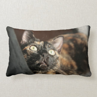 tortie cat pillow lumbarkudde