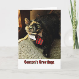 Tortie säsong kort för hälsning, Starring Binga