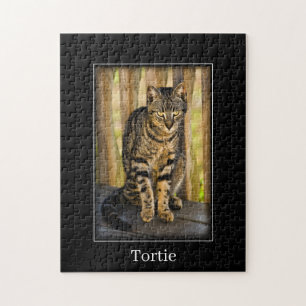 Tortie - Tortoiseshell Cat - Pet Photography Pussel