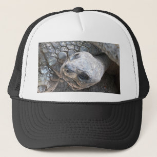 Tortoise Ansikte Keps