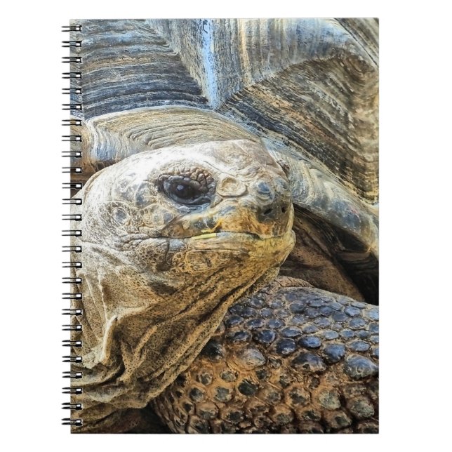 TORTOISE ANTECKNINGSBOK (Framsidan)