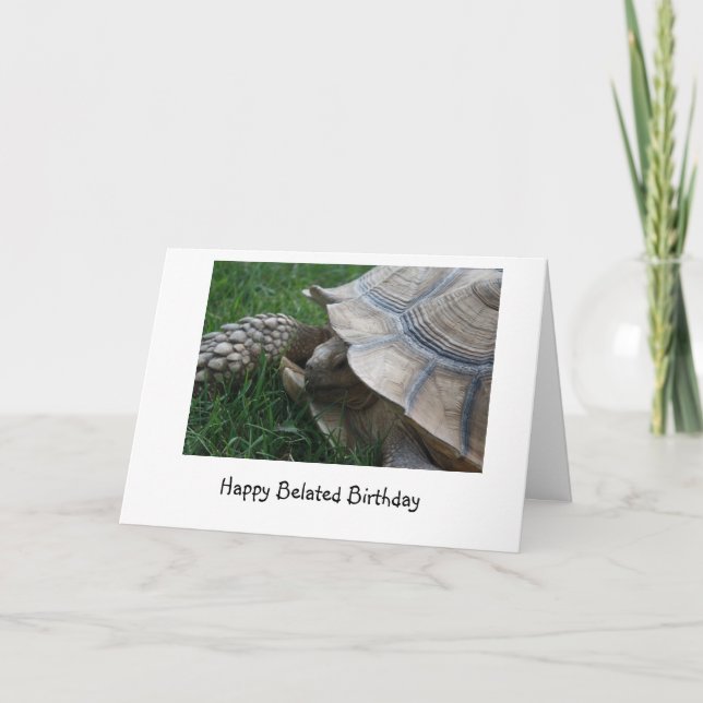 Tortoise Belet Birthday Card Kort (Framsida)