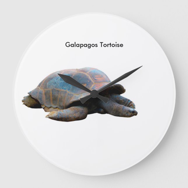 Tortoise-bild för Round Wall-Clock Stor Klocka (Framsida)