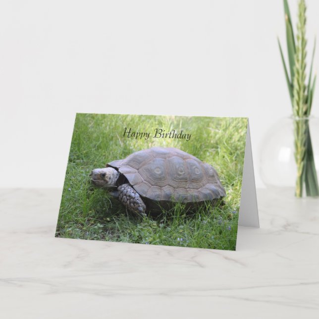 Tortoise Birthday Card Kort (Framsida)