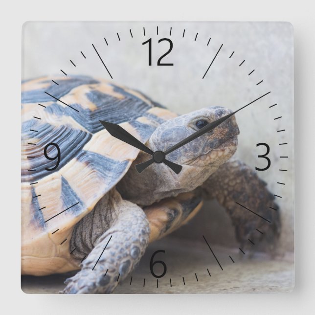 Tortoise Fyrkantig Klocka (Framsida)