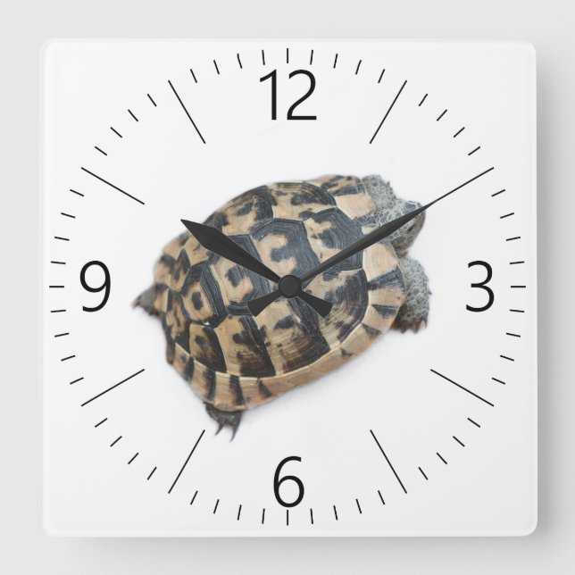 Tortoise Fyrkantig Klocka (Framsida)