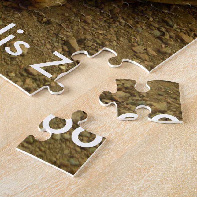 Tortoise i Indianapolis Zoo Pussel (Sidan)