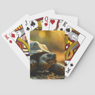 Tortoise i Vilden Casinokort