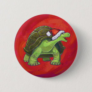 Tortoise jul på Red Knapp