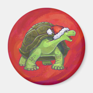 Tortoise jul på Red Magnet