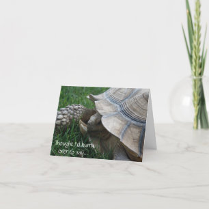 Tortoise-kort för födelsedagsdagen kort