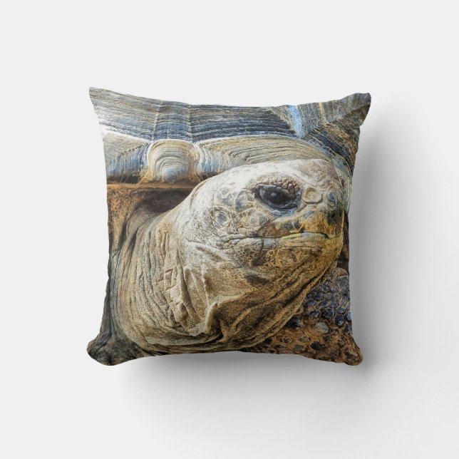 TORTOISE KUDDE (Framsida)