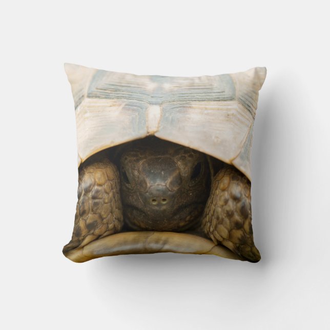 Tortoise Kudde (Framsida)
