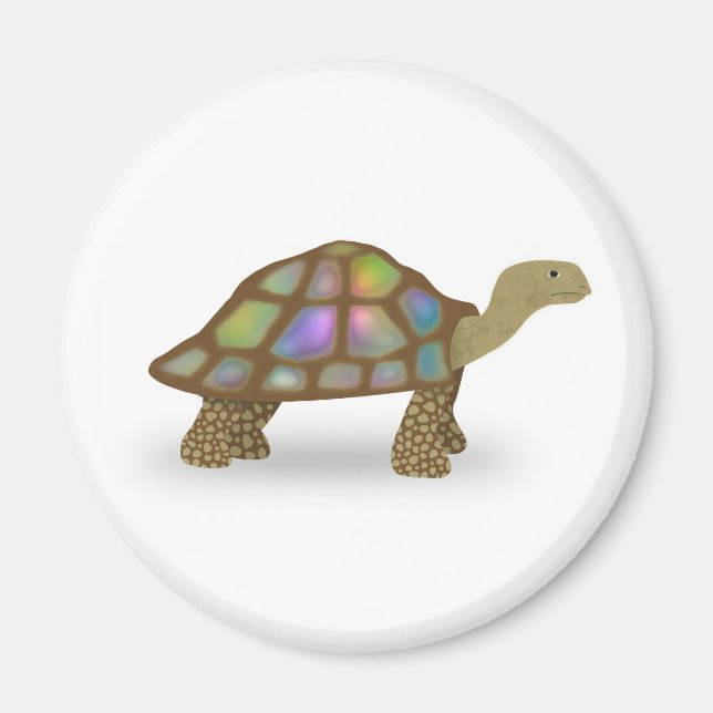 Tortoise Magnet (Framsidan)