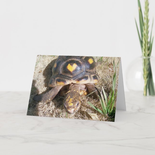 Tortoise med hjärta mönster Valentine Helgkort (Framsida)